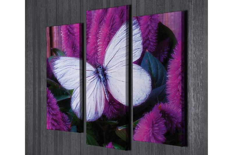 Canvasbilde Dekorativ 3 Deler - Flerfarget - Interiør - Maleri & posters - Lerretsbilder