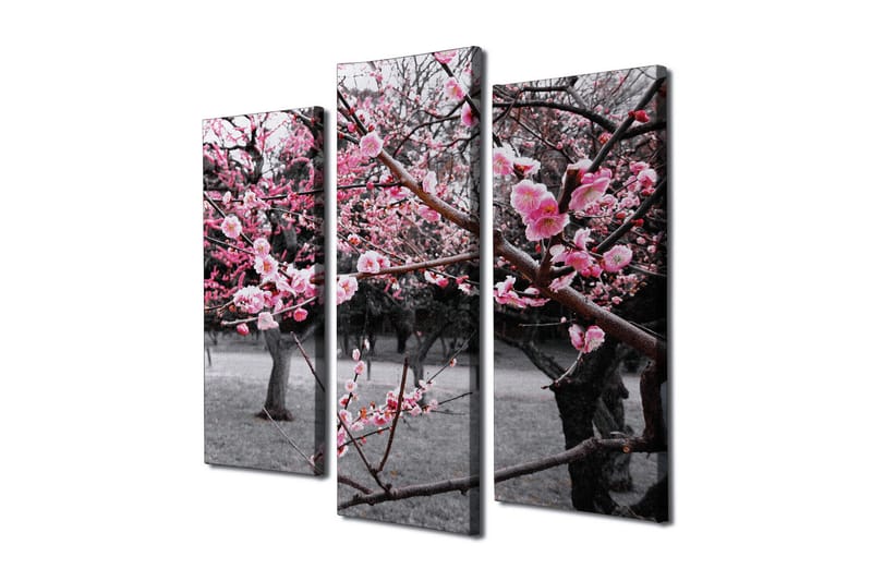 Canvasbilde Dekorativ 3 Deler - Flerfarget - Interiør - Maleri & posters - Lerretsbilder