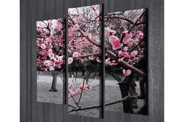 Canvasbilde Dekorativ 3 Deler - Flerfarget - Interiør - Maleri & posters - Lerretsbilder