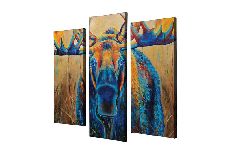 Canvasbilde Dekorativ 3 Deler - Flerfarget - Interiør - Maleri & posters - Lerretsbilder