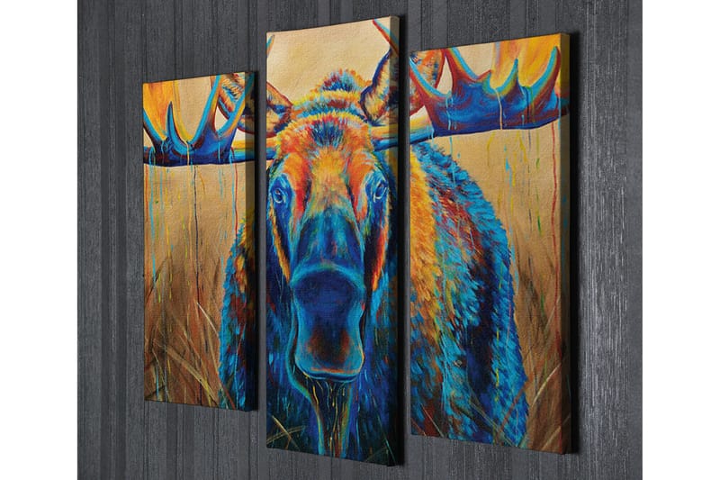 Canvasbilde Dekorativ 3 Deler - Flerfarget - Interiør - Maleri & posters - Lerretsbilder