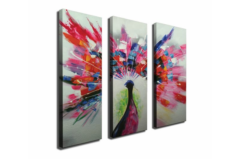 Canvasbilde Dekorativ 3 Deler - Flerfarget - Interiør - Maleri & posters - Lerretsbilder