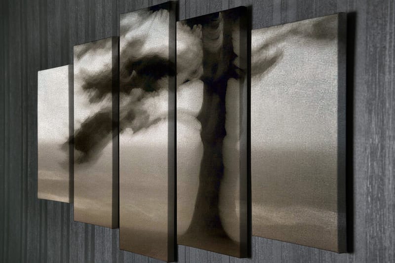 Canvasbilde Dekorativ 5 Deler - Flerfarget - Interiør - Maleri & posters - Lerretsbilder