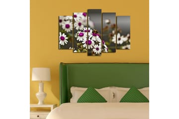 Canvasbilde Dekorativ 5 Deler - Flerfarget - Interiør - Maleri & posters - Lerretsbilder