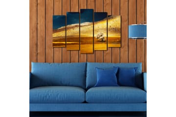 Canvasbilde Dekorativ 5 Deler - Flerfarget - Interiør - Maleri & posters - Lerretsbilder