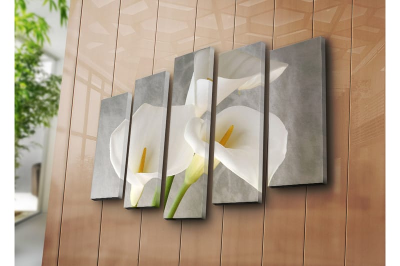 Canvasbilde Dekorativ 5 Deler - Flerfarget - Interiør - Maleri & posters - Lerretsbilder