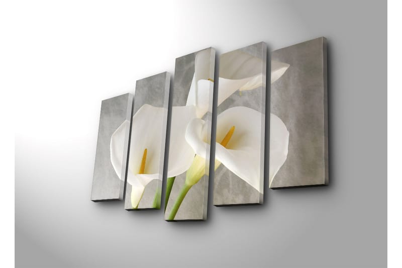 Canvasbilde Dekorativ 5 Deler - Flerfarget - Interiør - Maleri & posters - Lerretsbilder