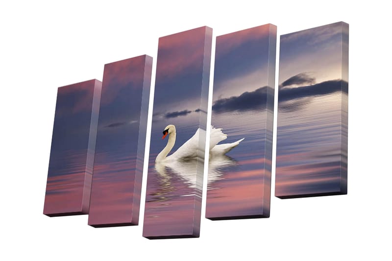 Canvasbilde Dekorativ 5 Deler - Flerfarget - Interiør - Maleri & posters - Lerretsbilder