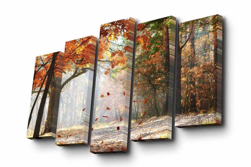 Canvasbilde Dekorativ 5 Deler - Flerfarget - Interiør - Maleri & posters - Lerretsbilder