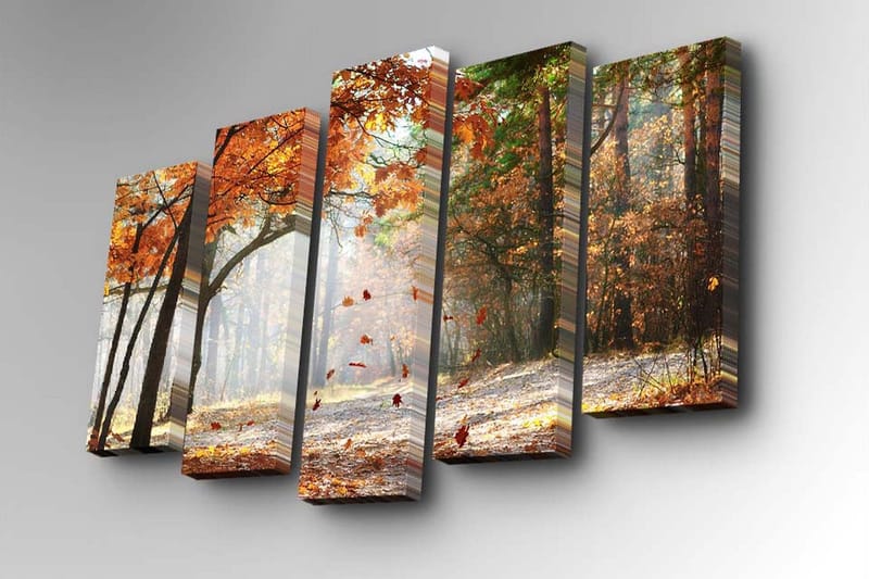 Canvasbilde Dekorativ 5 Deler - Flerfarget - Interiør - Maleri & posters - Lerretsbilder
