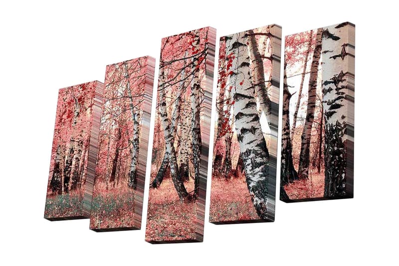 Canvasbilde Dekorativ 5 Deler - Flerfarget - Interiør - Maleri & posters - Lerretsbilder