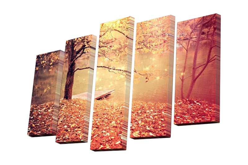 Canvasbilde Dekorativ 5 Deler - Flerfarget - Interiør - Maleri & posters - Lerretsbilder