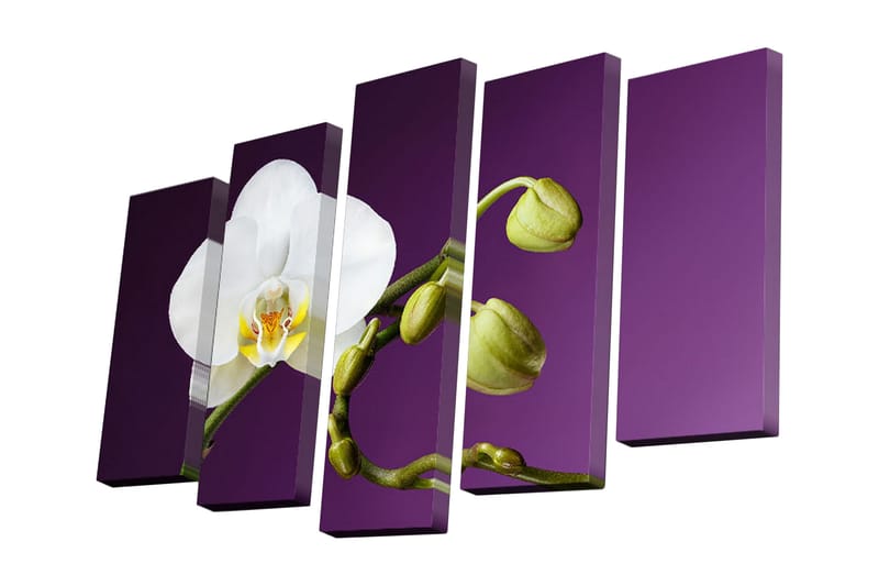 Canvasbilde Dekorativ 5 Deler - Flerfarget - Interiør - Maleri & posters - Lerretsbilder