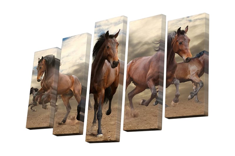 Canvasbilde Dekorativ 5 Deler - Flerfarget - Interiør - Maleri & posters - Lerretsbilder