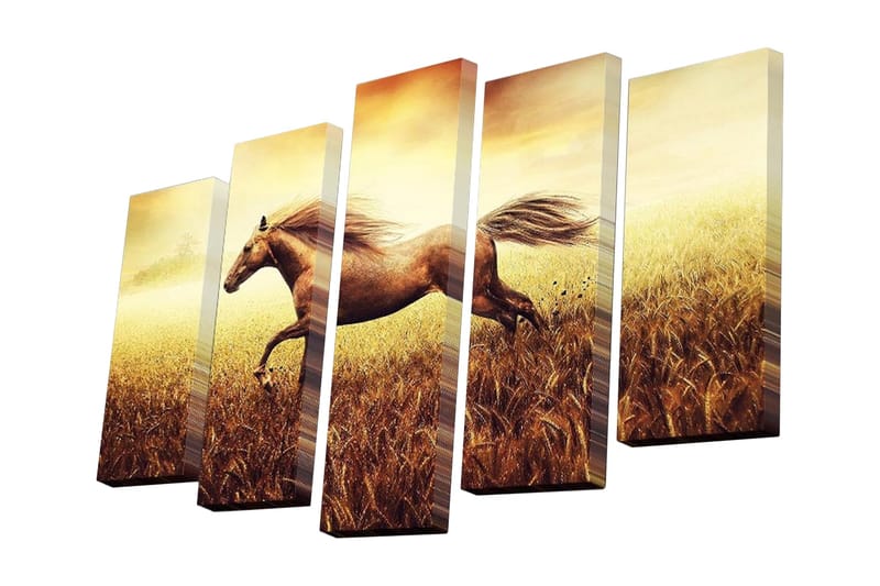 Canvasbilde Dekorativ 5 Deler - Flerfarget - Interiør - Maleri & posters - Lerretsbilder