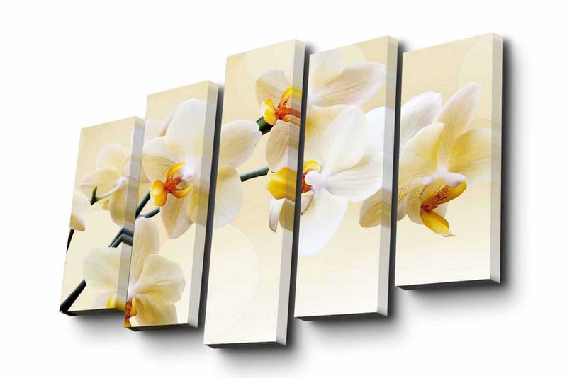 Canvasbilde Dekorativ 5 Deler - Flerfarget - Interiør - Maleri & posters - Lerretsbilder