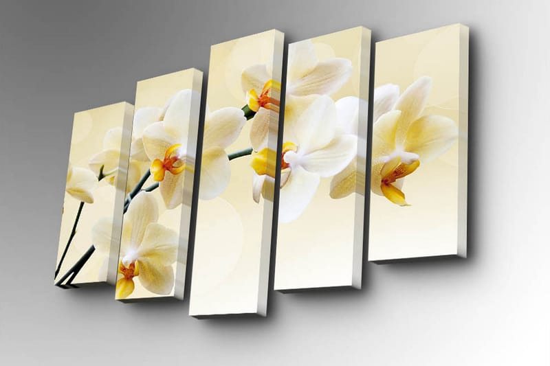 Canvasbilde Dekorativ 5 Deler - Flerfarget - Interiør - Maleri & posters - Lerretsbilder