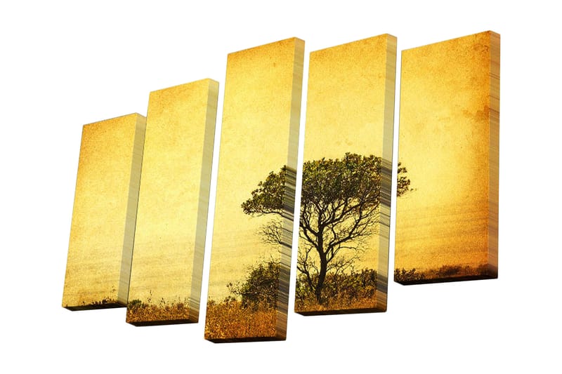 Canvasbilde Dekorativ 5 Deler - Flerfarget - Interiør - Maleri & posters - Lerretsbilder