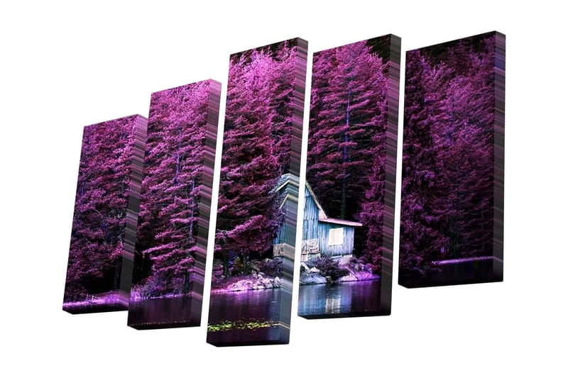 Canvasbilde Dekorativ 5 Deler - Flerfarget - Interiør - Maleri & posters - Lerretsbilder