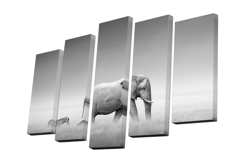 Canvasbilde Dekorativ 5 Deler - Flerfarget - Interiør - Maleri & posters - Lerretsbilder