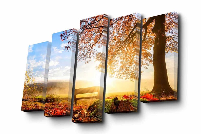 Canvasbilde Dekorativ 5 Deler - Flerfarget - Interiør - Maleri & posters - Lerretsbilder