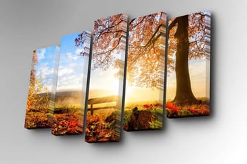 Canvasbilde Dekorativ 5 Deler - Flerfarget - Interiør - Maleri & posters - Lerretsbilder