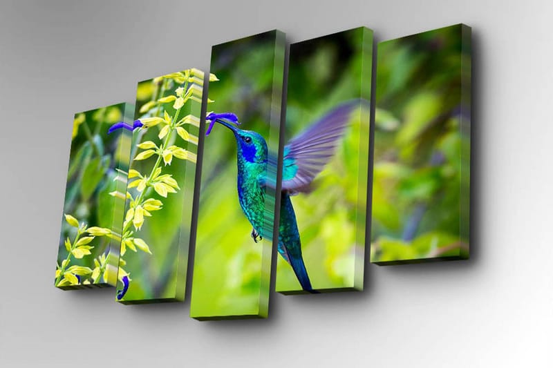 Canvasbilde Dekorativ 5 Deler - Flerfarget - Interiør - Maleri & posters - Lerretsbilder