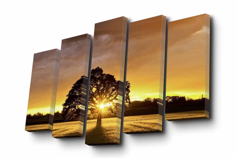 Canvasbilde Dekorativ 5 Deler - Flerfarget - Interiør - Maleri & posters - Lerretsbilder