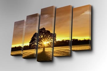 Canvasbilde Dekorativ 5 Deler - Flerfarget - Interiør - Maleri & posters - Lerretsbilder