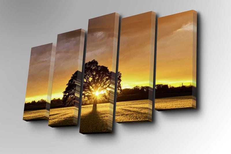 Canvasbilde Dekorativ 5 Deler - Flerfarget - Interiør - Maleri & posters - Lerretsbilder