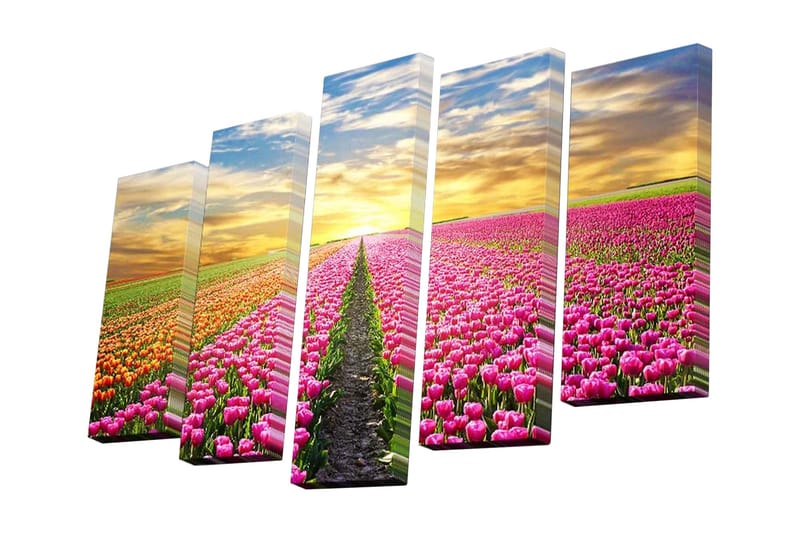 Canvasbilde Dekorativ 5 Deler - Flerfarget - Interiør - Maleri & posters - Lerretsbilder