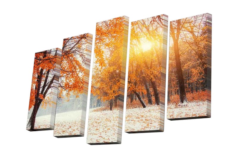 Canvasbilde Dekorativ 5 Deler - Flerfarget - Interiør - Maleri & posters - Lerretsbilder