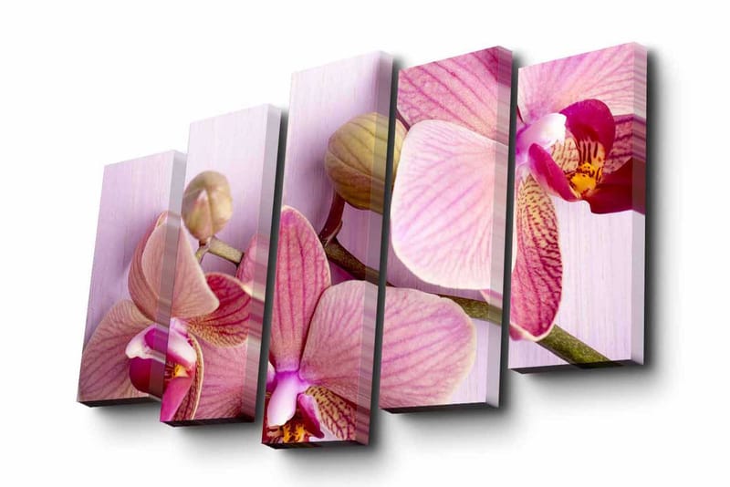 Canvasbilde Dekorativ 5 Deler - Flerfarget - Interiør - Maleri & posters - Lerretsbilder