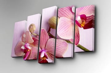 Canvasbilde Dekorativ 5 Deler - Flerfarget - Interiør - Maleri & posters - Lerretsbilder