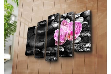 Canvasbilde Dekorativ 5 Deler - Flerfarget - Interiør - Maleri & posters - Lerretsbilder