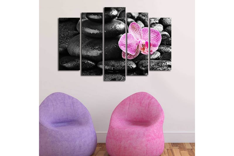 Canvasbilde Dekorativ 5 Deler - Flerfarget - Interiør - Maleri & posters - Lerretsbilder