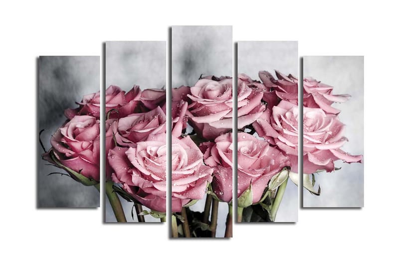 Canvasbilde Dekorativ 5 Deler - Flerfarget - Interiør - Maleri & posters - Lerretsbilder