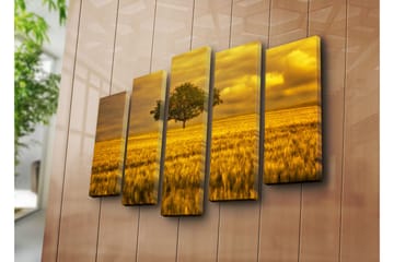 Canvasbilde Dekorativ 5 Deler - Flerfarget - Interiør - Maleri & posters - Lerretsbilder