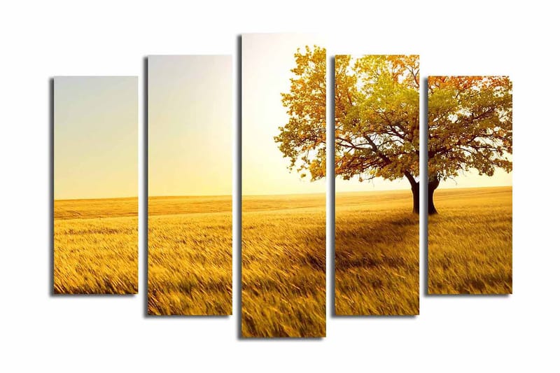 Canvasbilde Dekorativ 5 Deler - Flerfarget - Interi�ør - Maleri & posters - Lerretsbilder