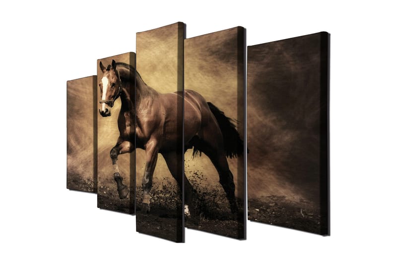 Canvasbilde Dekorativ 5 Deler - Flerfarget - Interiør - Maleri & posters - Lerretsbilder