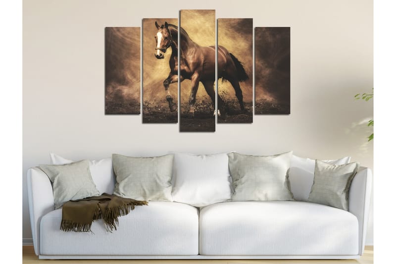 Canvasbilde Dekorativ 5 Deler - Flerfarget - Interiør - Maleri & posters - Lerretsbilder