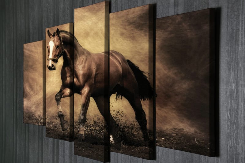 Canvasbilde Dekorativ 5 Deler - Flerfarget - Interiør - Maleri & posters - Lerretsbilder