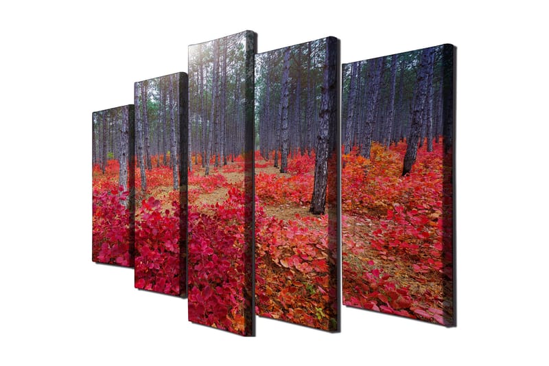 Canvasbilde Dekorativ 5 Deler - Flerfarget - Interiør - Maleri & posters - Lerretsbilder