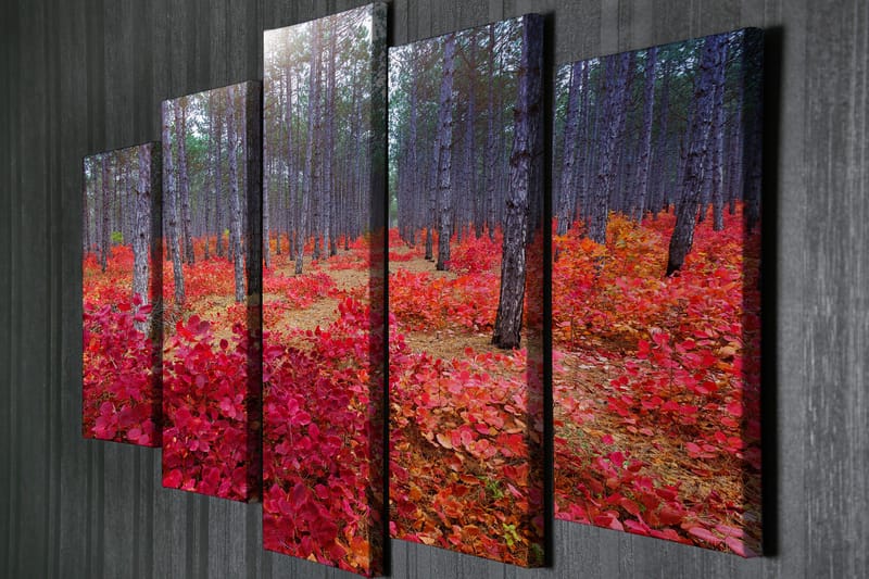 Canvasbilde Dekorativ 5 Deler - Flerfarget - Interiør - Maleri & posters - Lerretsbilder