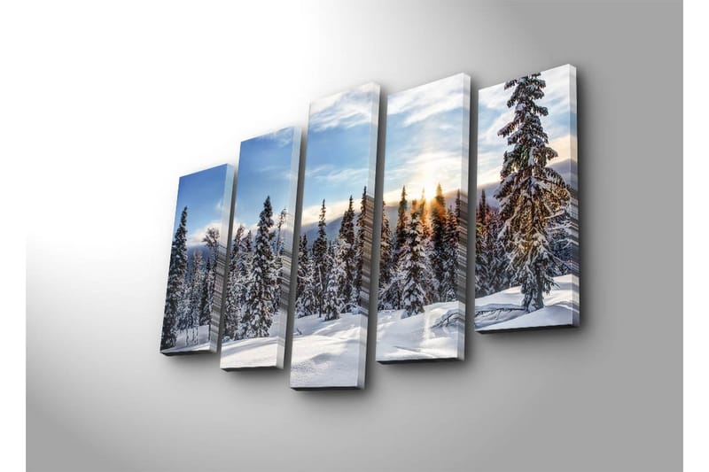 Canvasbilde Dekorativ 5 Deler - Flerfarget - Interiør - Maleri & posters - Lerretsbilder
