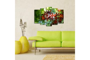 Canvasbilde Dekorativ 5 Deler - Flerfarget - Interiør - Maleri & posters - Lerretsbilder