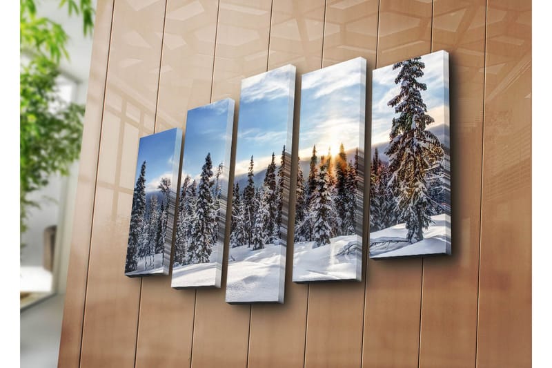 Canvasbilde Dekorativ 5 Deler - Flerfarget - Interiør - Maleri & posters - Lerretsbilder
