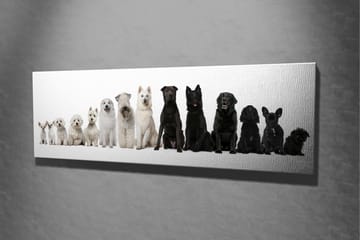 Canvasbilde Dekorativ - Flerfarget - Interiør - Maleri & posters - Lerretsbilder