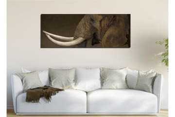 Canvasbilde Dekorativ - Flerfarget - Interiør - Maleri & posters - Lerretsbilder