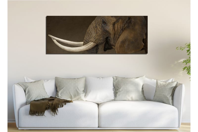 Canvasbilde Dekorativ - Flerfarget - Interiør - Maleri & posters - Lerretsbilder